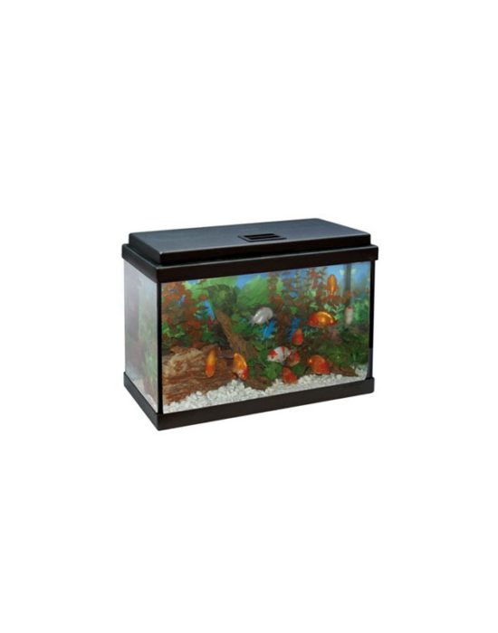 Aqualed 20 litros