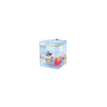 Aquabox betta 1.3 litros