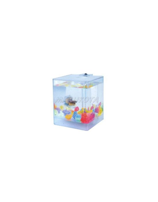 Aquabox betta 1.3 litros