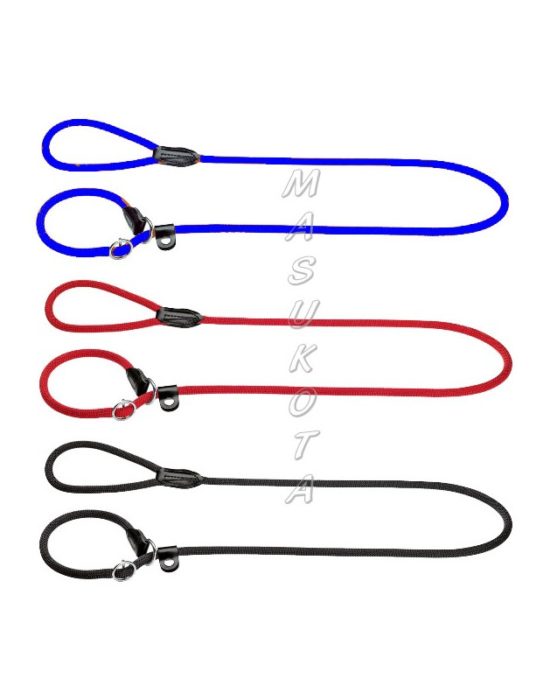 Correa estranguladora perro