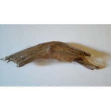 Raiz natural de manglar 20cm