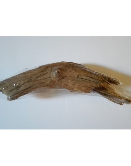 Raiz natural de manglar 20cm