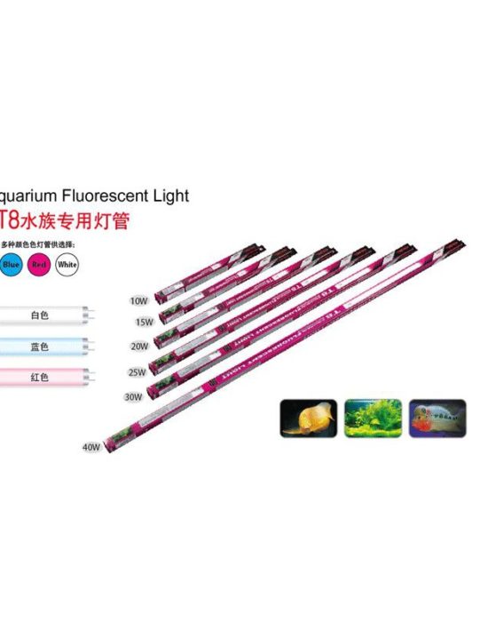 Tubo fluorescente T8 10W