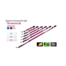 Tubo fluorescente T8 10W
