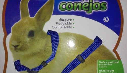 arnes conejo